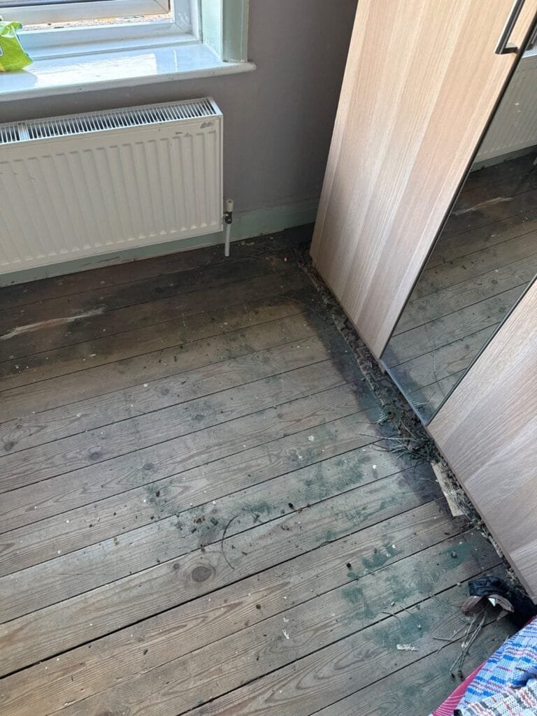 After: old carpet removal by Kruze, Huddersfield HD5